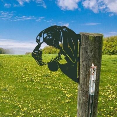 Big Dog Cross-Border Metal Iron Sign