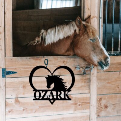 Custom Horse Name Sign Horse Wall Art Horse Name Plaque Horse Stall Sign Horse Farm Sign Barn Decor Horse Wall Decor Equestrian gift