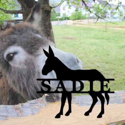 Personalized Donkey Stall Name Plate Donkey Metal Sign Custom Donkey Stable Name Plaque for Farm Barn Sign Donkey Name Plate